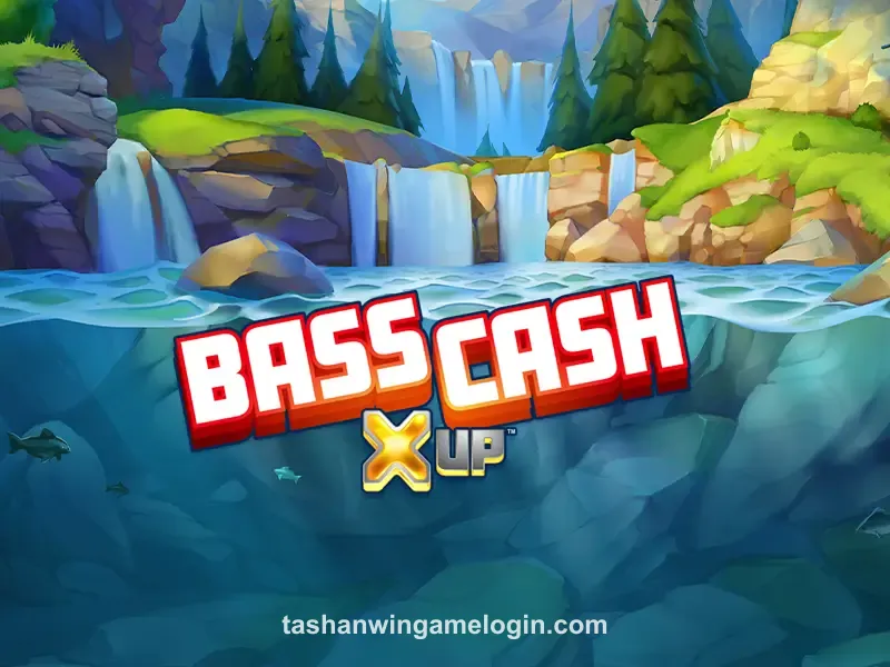 Bass Cash Xup