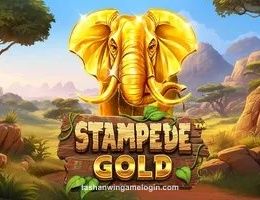 Stampede Gold